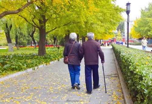 今日十大社会热点 56吃瓜网 明星黑料真实事件,今日十大社会热点事件，56吃瓜网曝明星黑料真实内幕