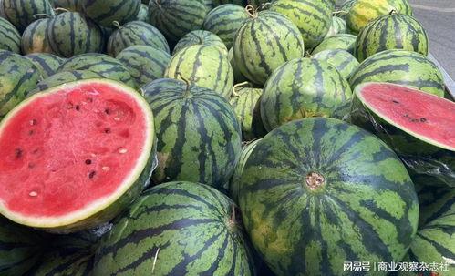 网络大瓜 17吃瓜fun,吃瓜fun带你领略娱乐圈风云变幻