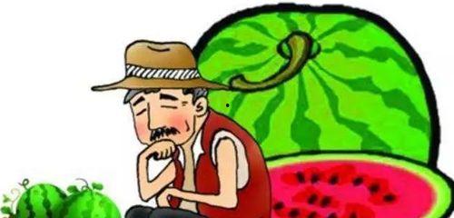 网络大瓜 17吃瓜fun,吃瓜fun带你领略娱乐圈风云变幻